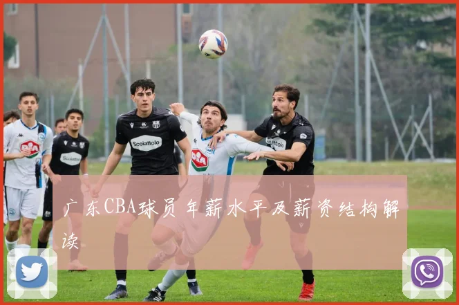 广东CBA球员年薪水平及薪资结构解读