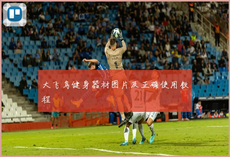 大飞鸟健身器材图片及正确使用教程