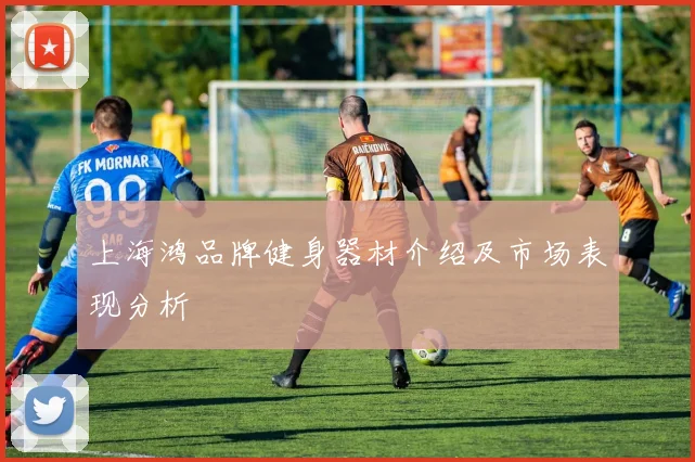 上海鸿品牌健身器材介绍及市场表现分析