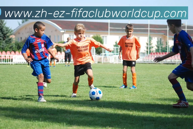 世界杯赛程服务体系