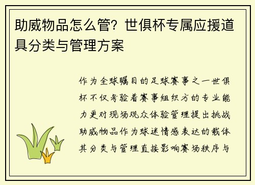 助威物品怎么管？世俱杯专属应援道具分类与管理方案